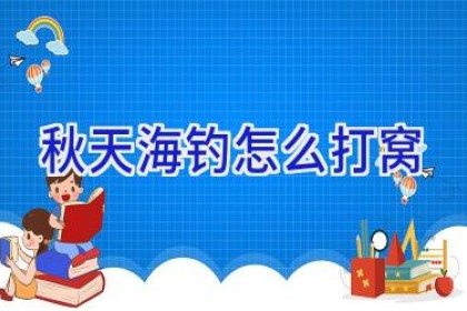 秋天海钓怎么打窝