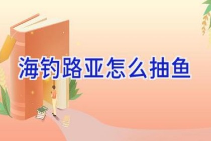 海钓路亚怎么抽鱼