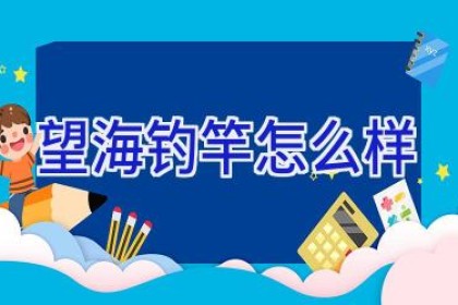 望海钓竿怎么样