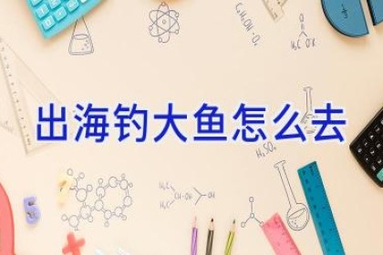出海钓大鱼怎么去