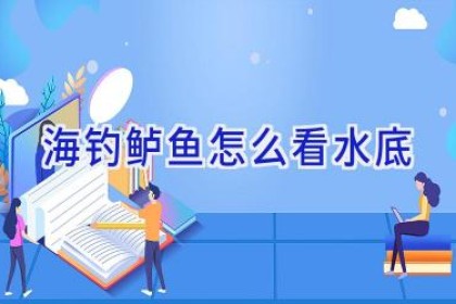 海钓鲈鱼怎么看水底