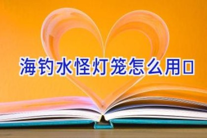 海钓水怪灯笼怎么用