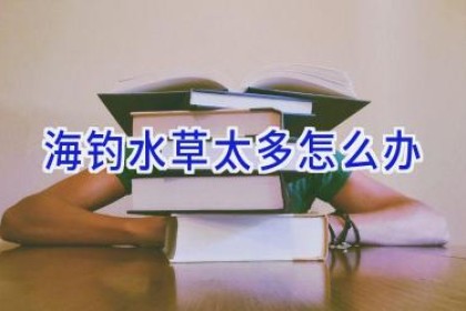 海钓水草太多怎么办