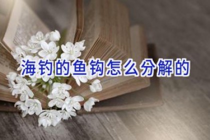 海钓的鱼钩怎么分解的