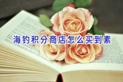 海钓积分商店怎么买到素