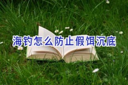 海钓怎么防止假饵沉底