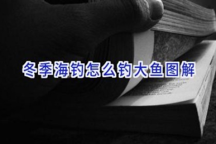 冬季海钓怎么钓大鱼图解