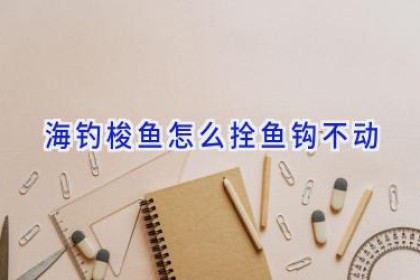 海钓梭鱼怎么拴鱼钩不动