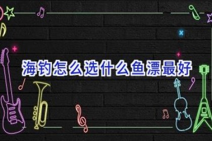 海钓怎么选什么鱼漂最好