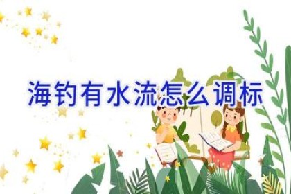 海钓有水流怎么调标