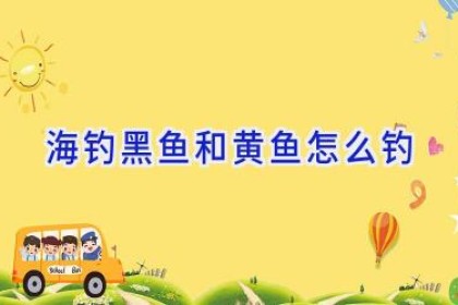 海钓黑鱼和黄鱼怎么钓
