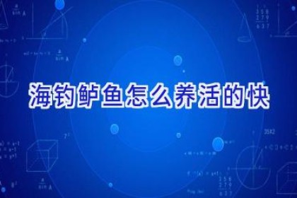 海钓鲈鱼怎么养活的快