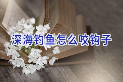 深海钓鱼怎么咬钩子