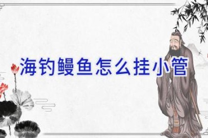 海钓鳗鱼怎么挂小管
