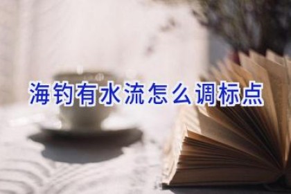 海钓有水流怎么调标点