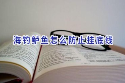 海钓鲈鱼怎么防止挂底线