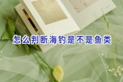 怎么判断海钓是不是鱼类