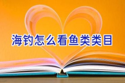 海钓怎么看鱼类类目