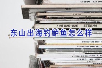 东山出海钓鲈鱼怎么样
