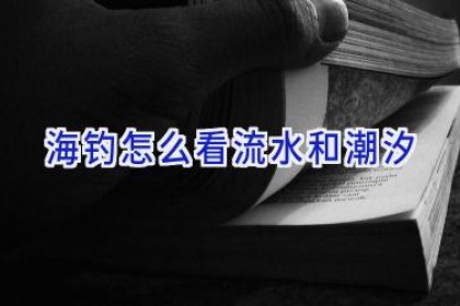 海钓怎么看流水和潮汐