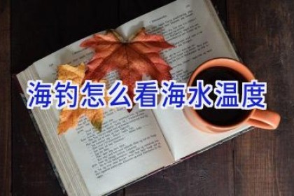 海钓怎么看海水温度