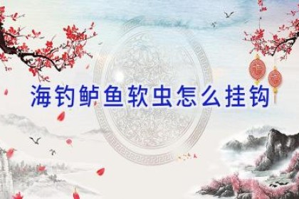 海钓鲈鱼软虫怎么挂钩