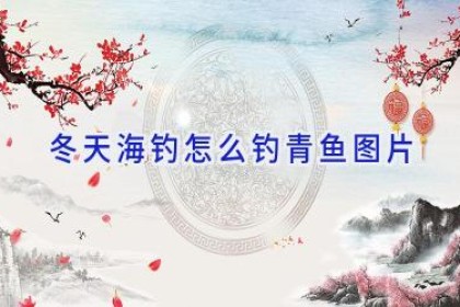 冬天海钓怎么钓青鱼图片