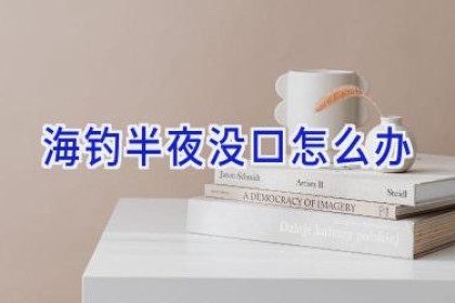 海钓半夜没口怎么办