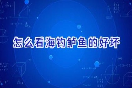 怎么看海钓鲈鱼的好坏