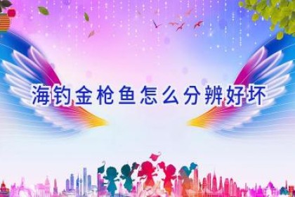 海钓金枪鱼怎么分辨好坏