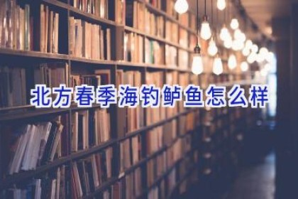 北方春季海钓鲈鱼怎么样