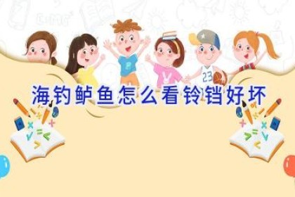 海钓鲈鱼怎么看铃铛好坏