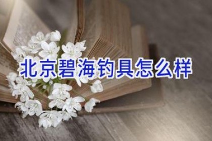 北京碧海钓具怎么样