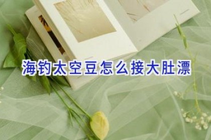海钓太空豆怎么接大肚漂