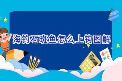海钓石斑鱼怎么上钩图解
