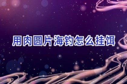 用肉圆片海钓怎么挂饵