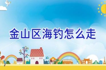 金山区海钓怎么走