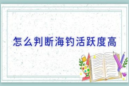 怎么判断海钓活跃度高