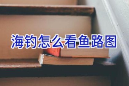 海钓怎么看鱼路图