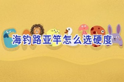 海钓路亚竿怎么选硬度