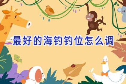 最好的海钓钓位怎么调