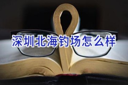 深圳北海钓场怎么样