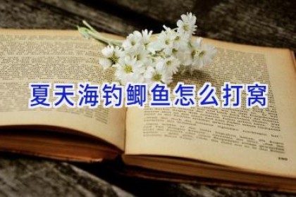 夏天海钓鲫鱼怎么打窝