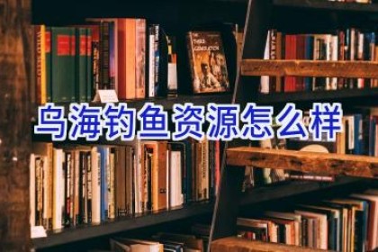乌海钓鱼资源怎么样