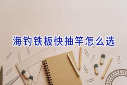 海钓铁板快抽竿怎么选