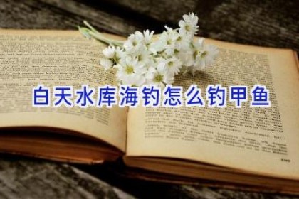 白天水库海钓怎么钓甲鱼