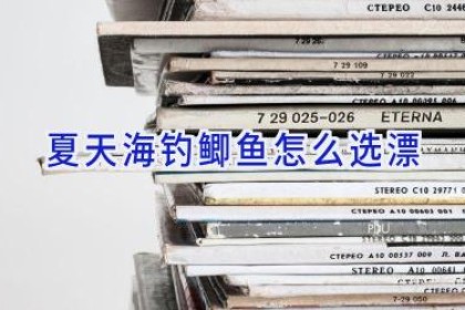 夏天海钓鲫鱼怎么选漂