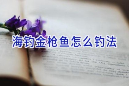 海钓金枪鱼怎么钓法