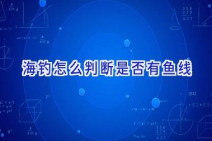 海钓怎么判断是否有鱼线