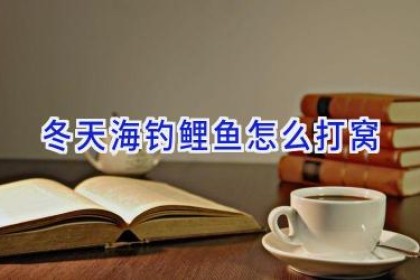 冬天海钓鲤鱼怎么打窝